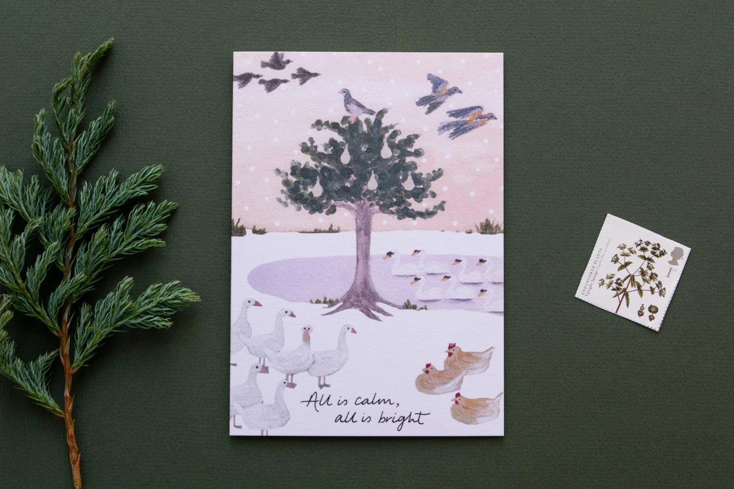 'Christmas Birds' Christmas Card