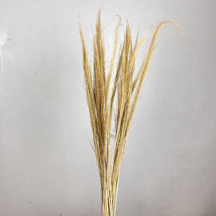 Natural Dried Broom Grass