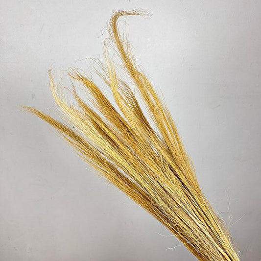 Natural Dried Broom Grass