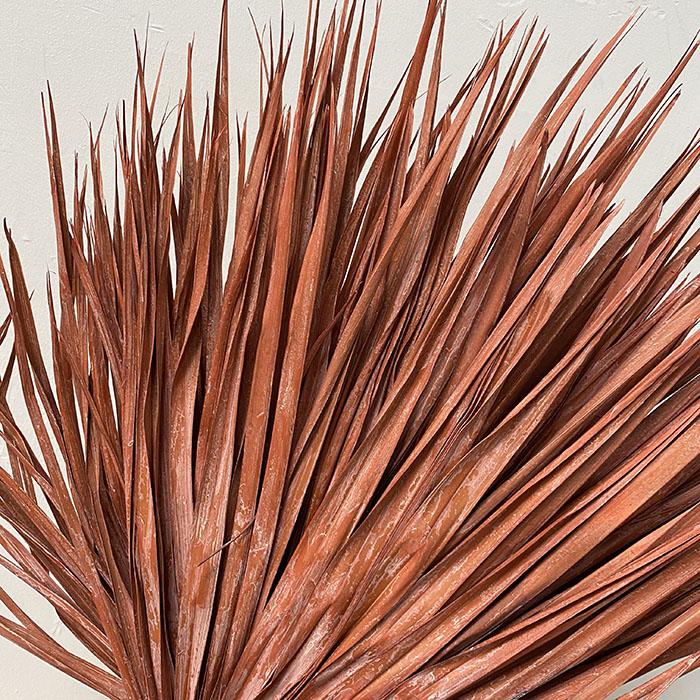 Terracotta Dried Chamaerops Palm Leaf