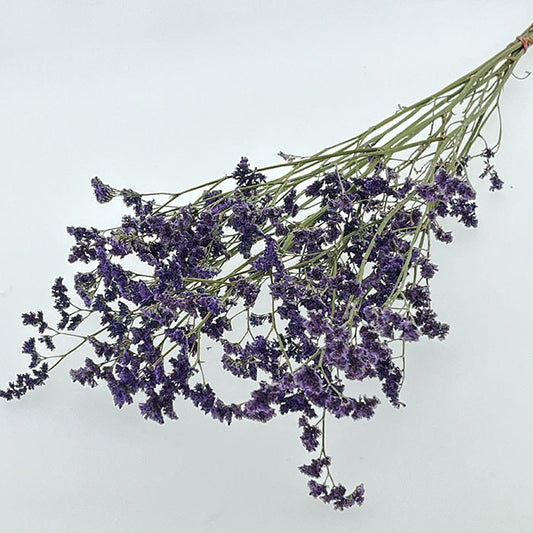 Natural Blue Purple Dried Limonium