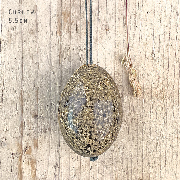 Curlew Wooden Painted Egg